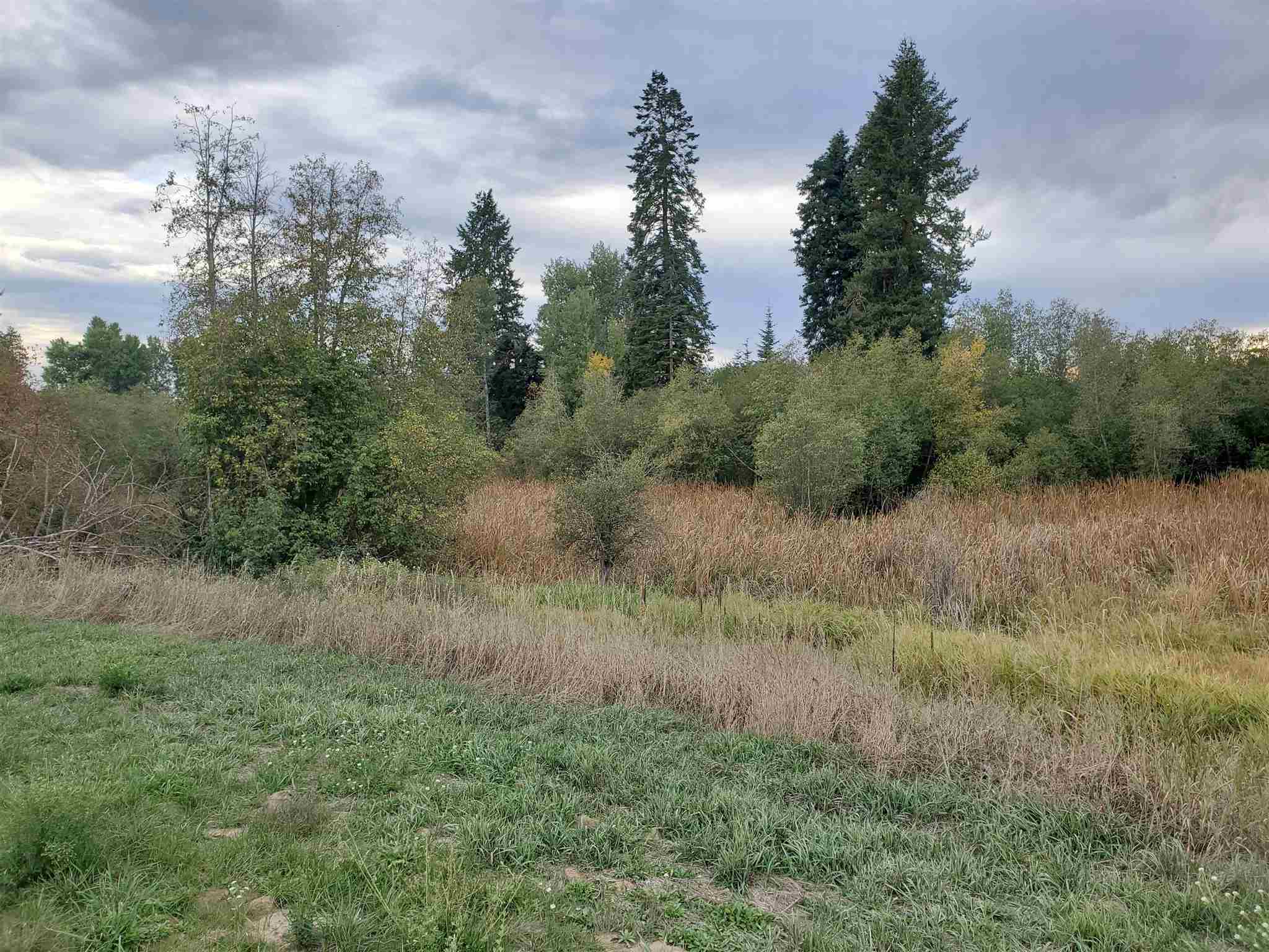 Xx North Bruce Road Elk, WA 99009 - Photo 7 of 10