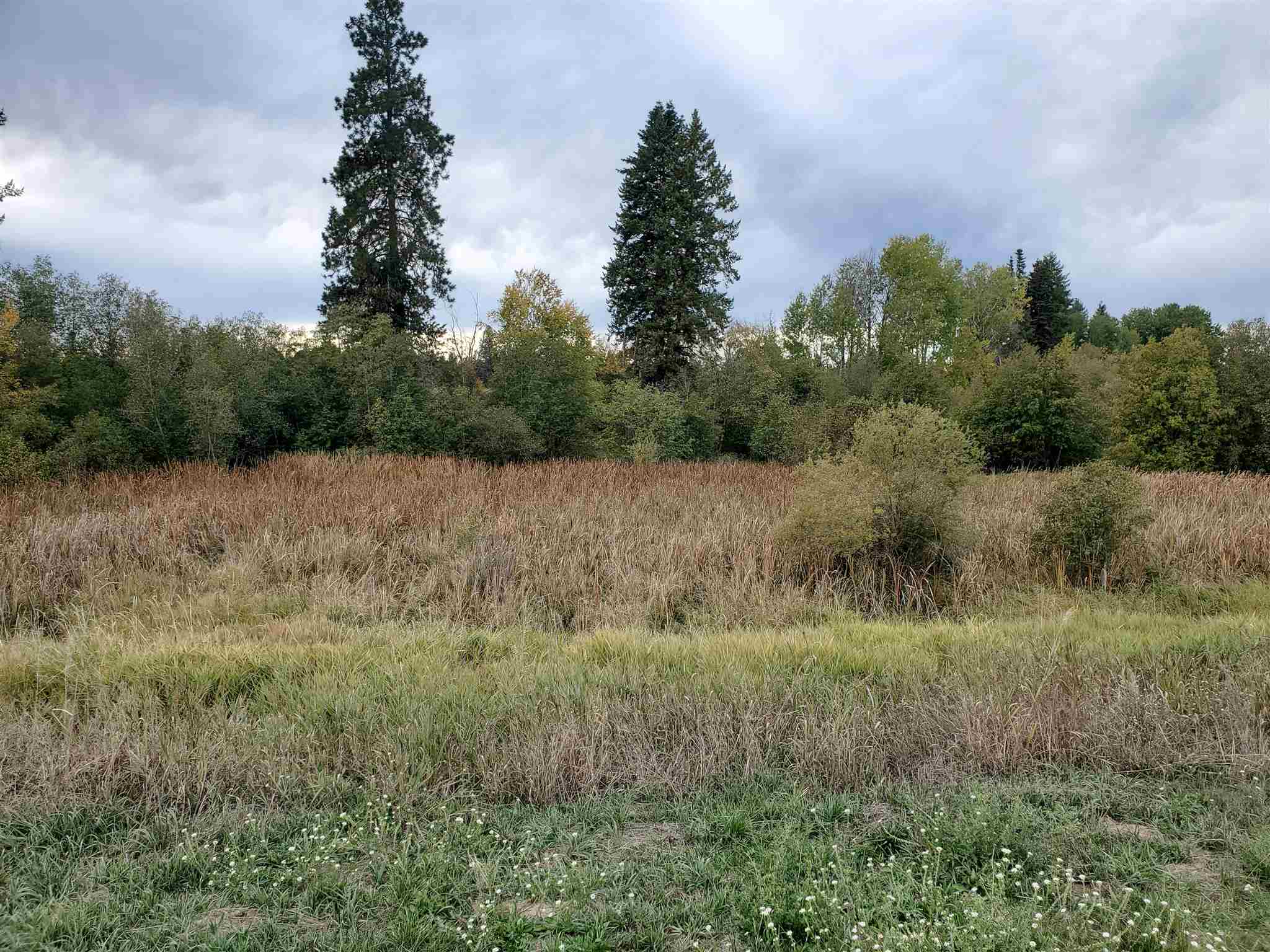 Xx North Bruce Road Elk, WA 99009 - Photo 8 of 10