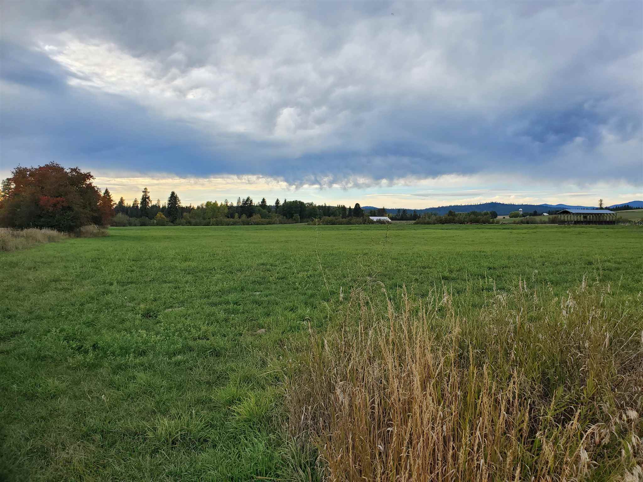 Xx North Bruce Road Elk, WA 99009 - Photo 9 of 10