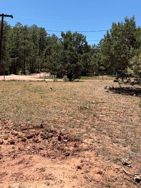 Lot 46 Park Road Payson, AZ 85541 - Photo 2 of 6 pic2