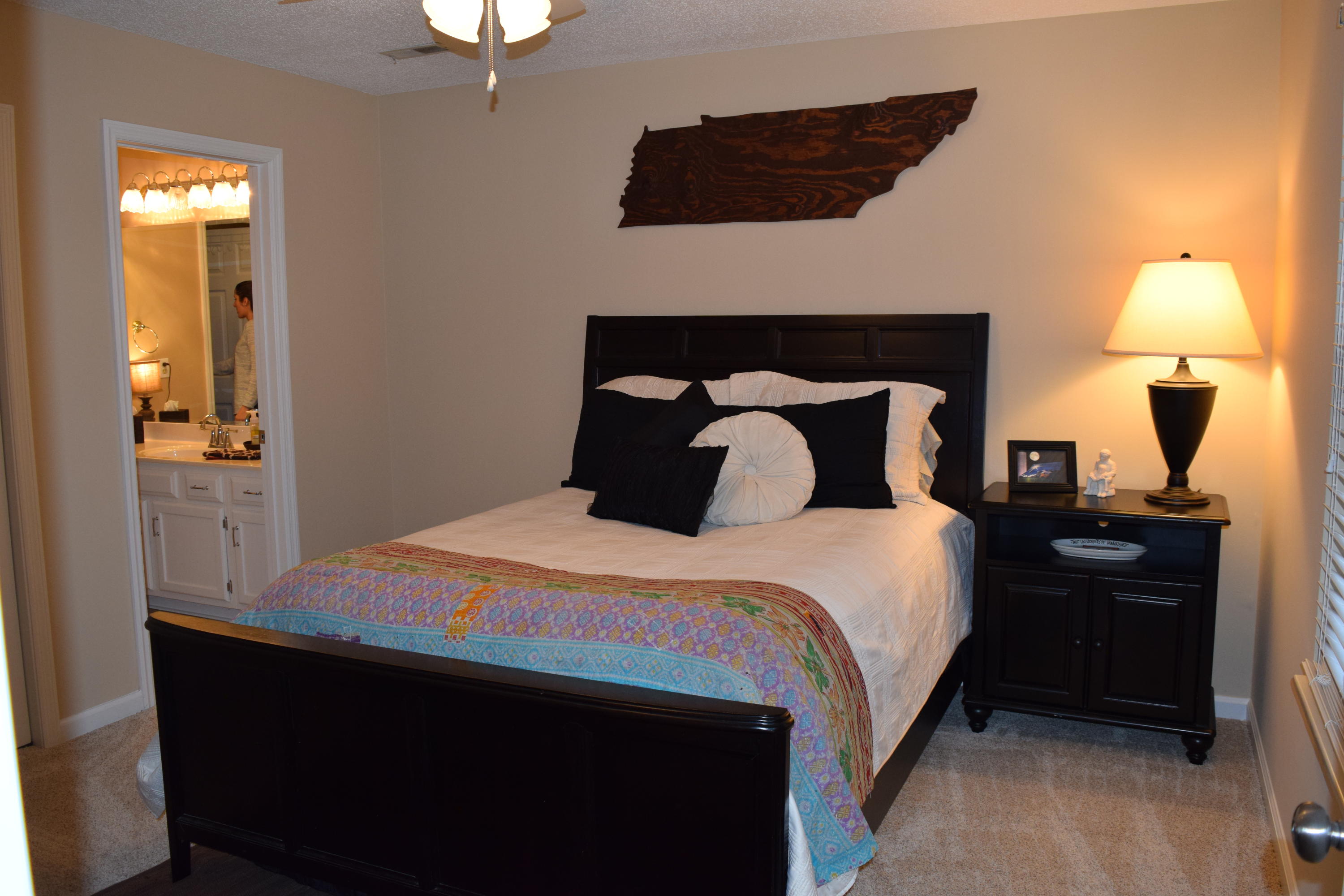 9021 Colchester Ridge Road Knoxville, TN 37922 - Photo 21 of 32 2016-11-15 05.34.09