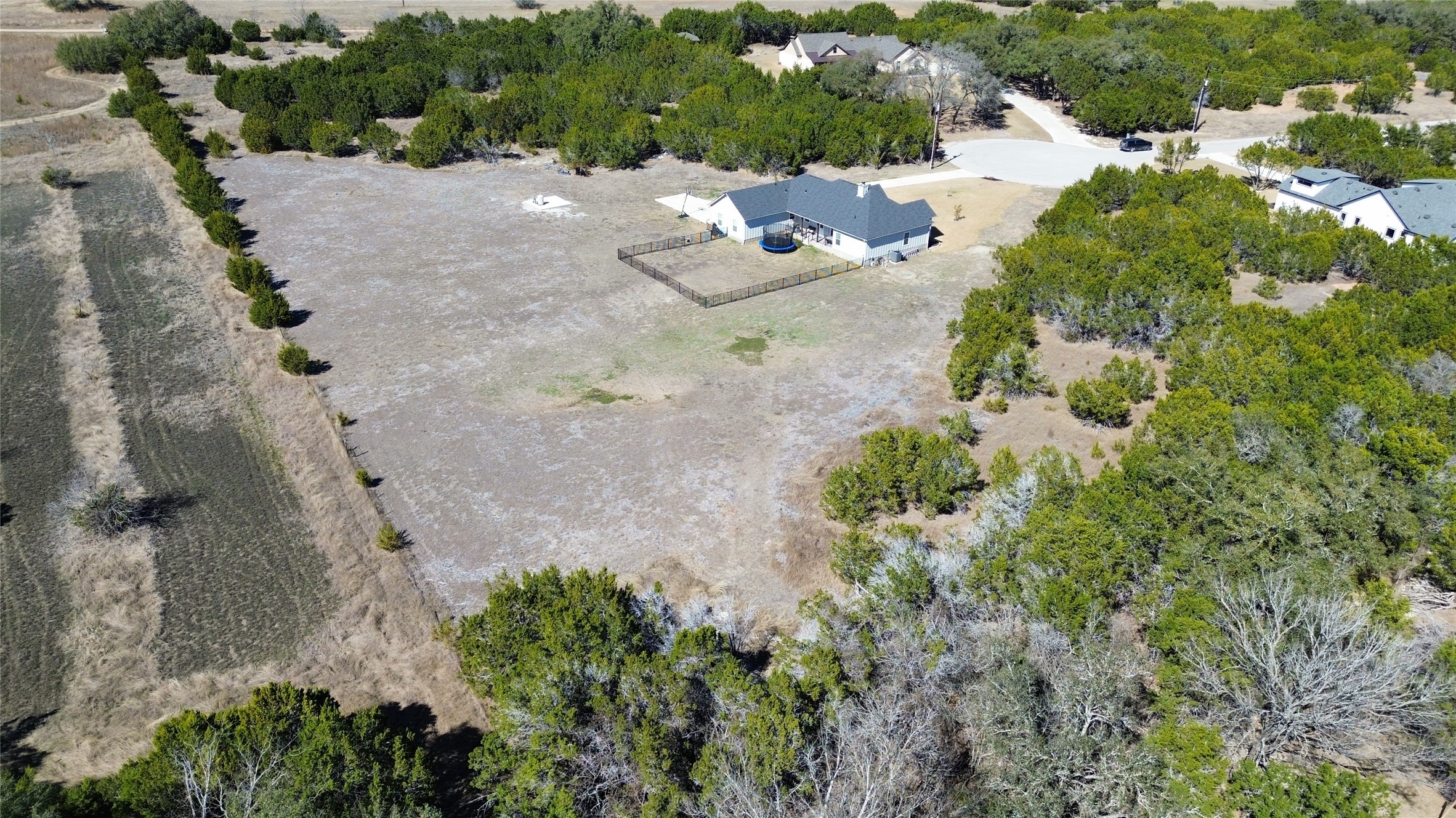 195 Rosebud Ranch Road Bertram, TX 78605 - Photo 36 of 40 a view of a tree in a yard