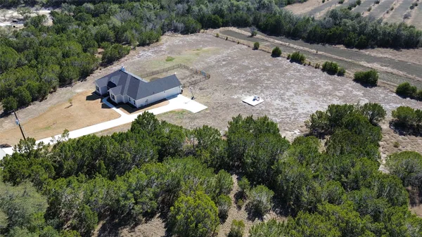 a view of a dry yard with large trees