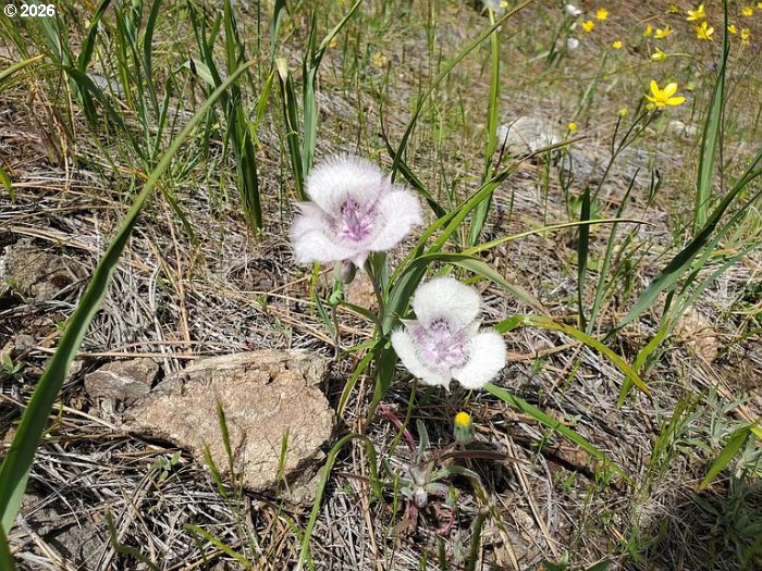 2133 Spring Brook Road Myrtle Creek, OR 97457 - Photo 17 of 18