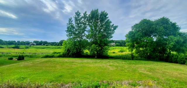 a view of a garden with a fountain