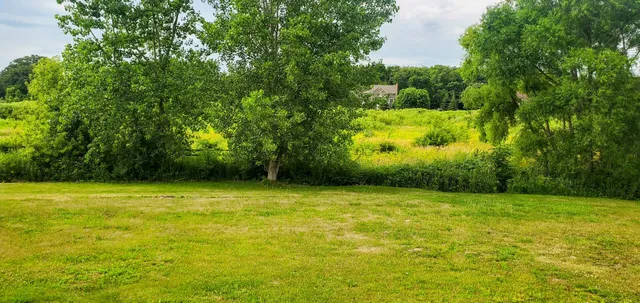 a view of a field with a trees in the background