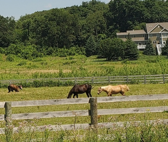 4378 John Milton Road Elgin, IL 60124 - Photo 10 of 10