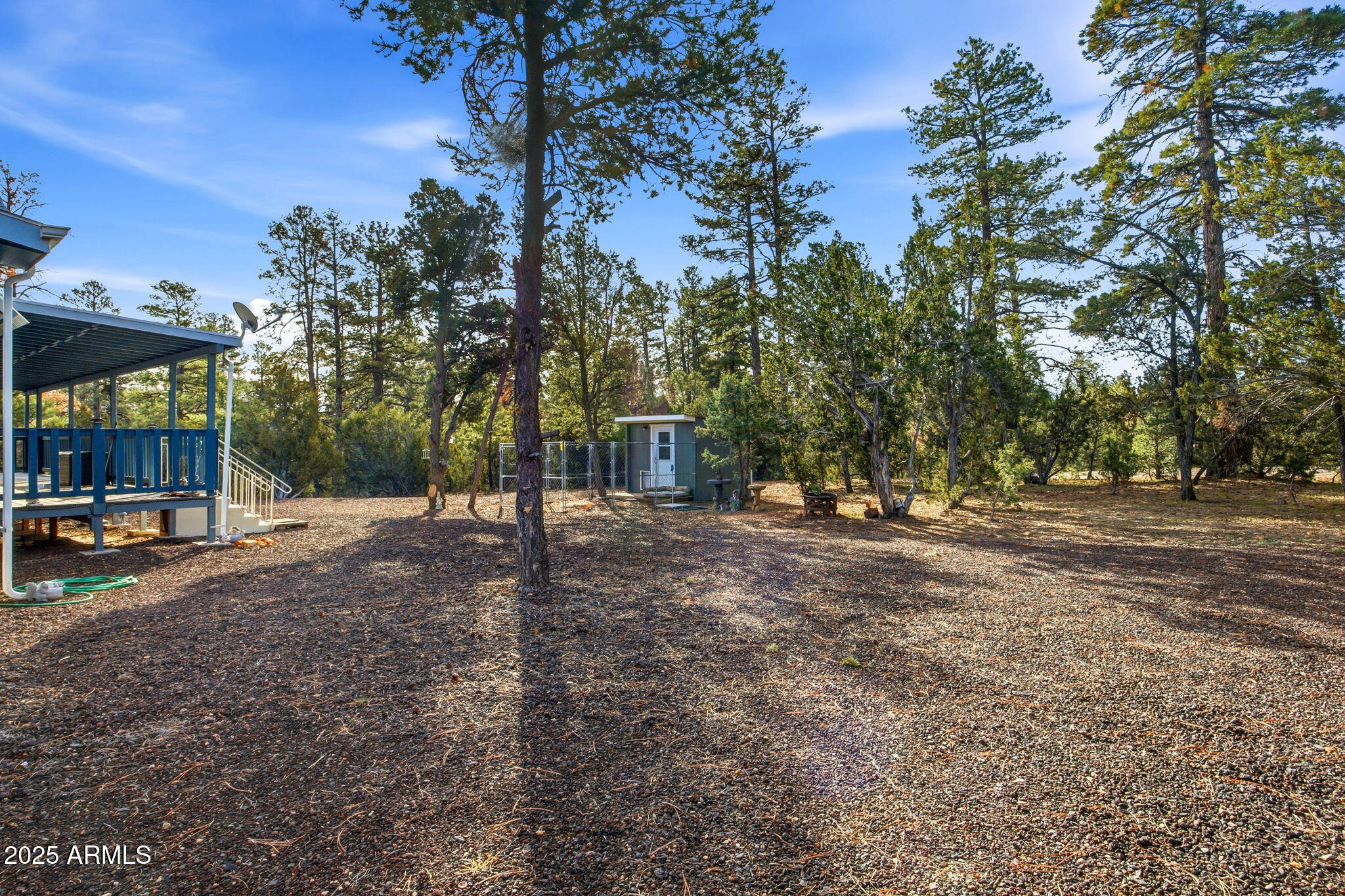 3051 State Route 277 Overgaard, AZ 85933 - Photo 5 of 40 3501AZ277-HeberOvergaard-AZ-5