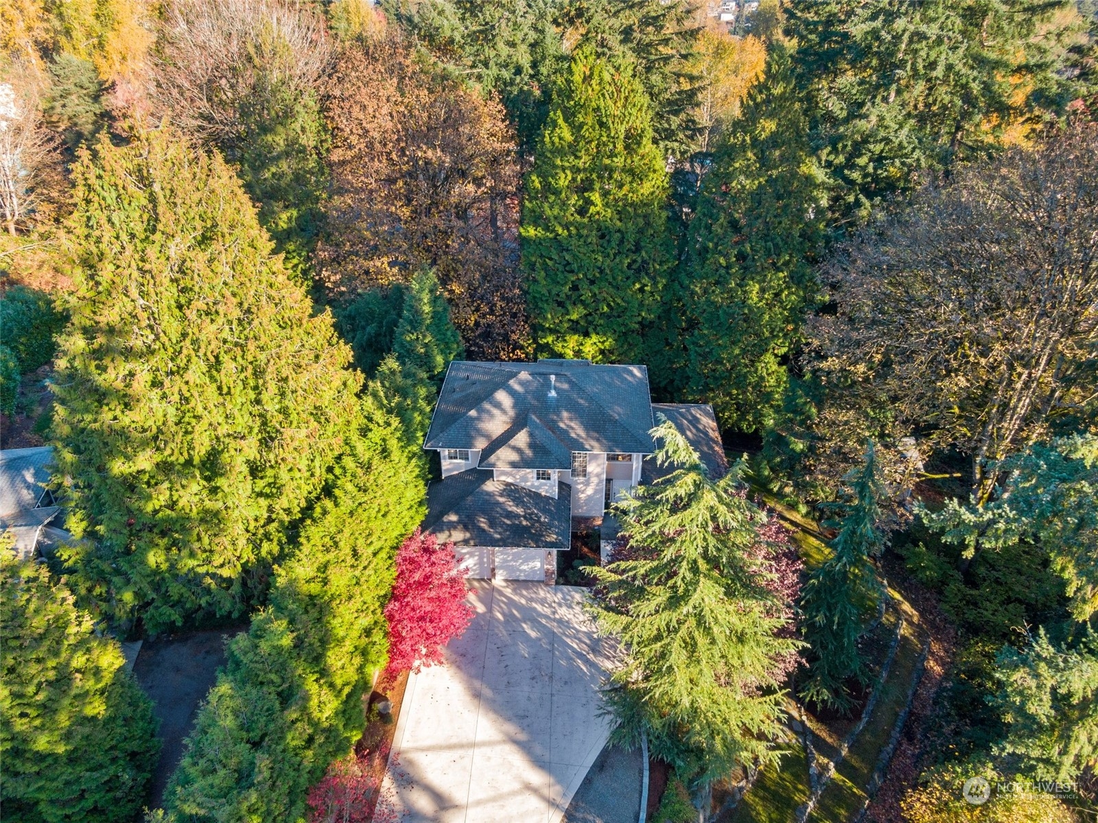 14704 Simonds Road Northeast Bothell, WA 98011 - Photo 38 of 40 a picture of flowers