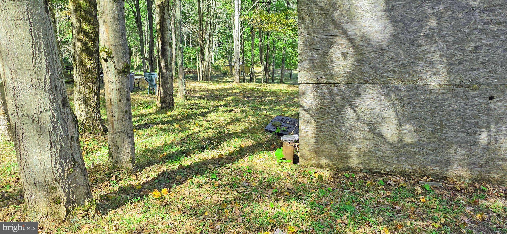 1 Rabbit Hollow Road Accident, MD 21520 - Photo 27 of 31 Gallery Image 27