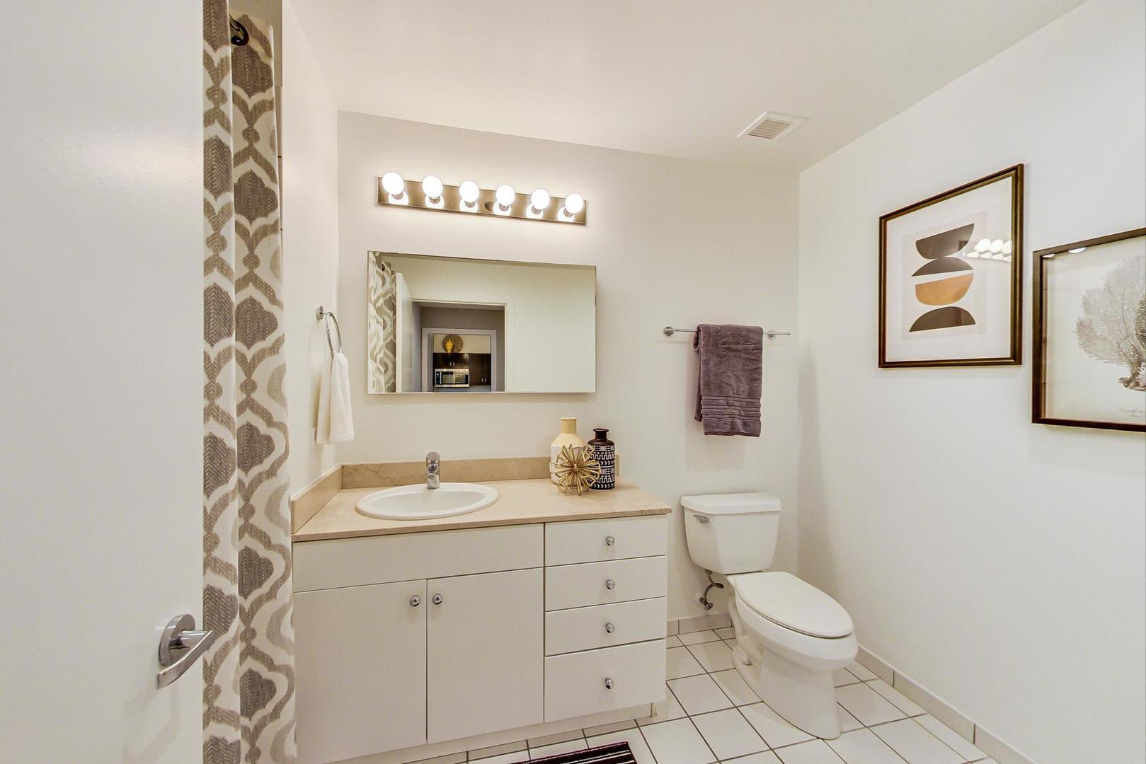 8 East Randolph Street, Unit 2207 Chicago, IL 60601 - Photo 18 of 29 a bathroom with a toilet a sink and mirror