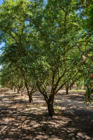 $1,500,000 | 9337 Creekside Lane, Modesto, CA 95357