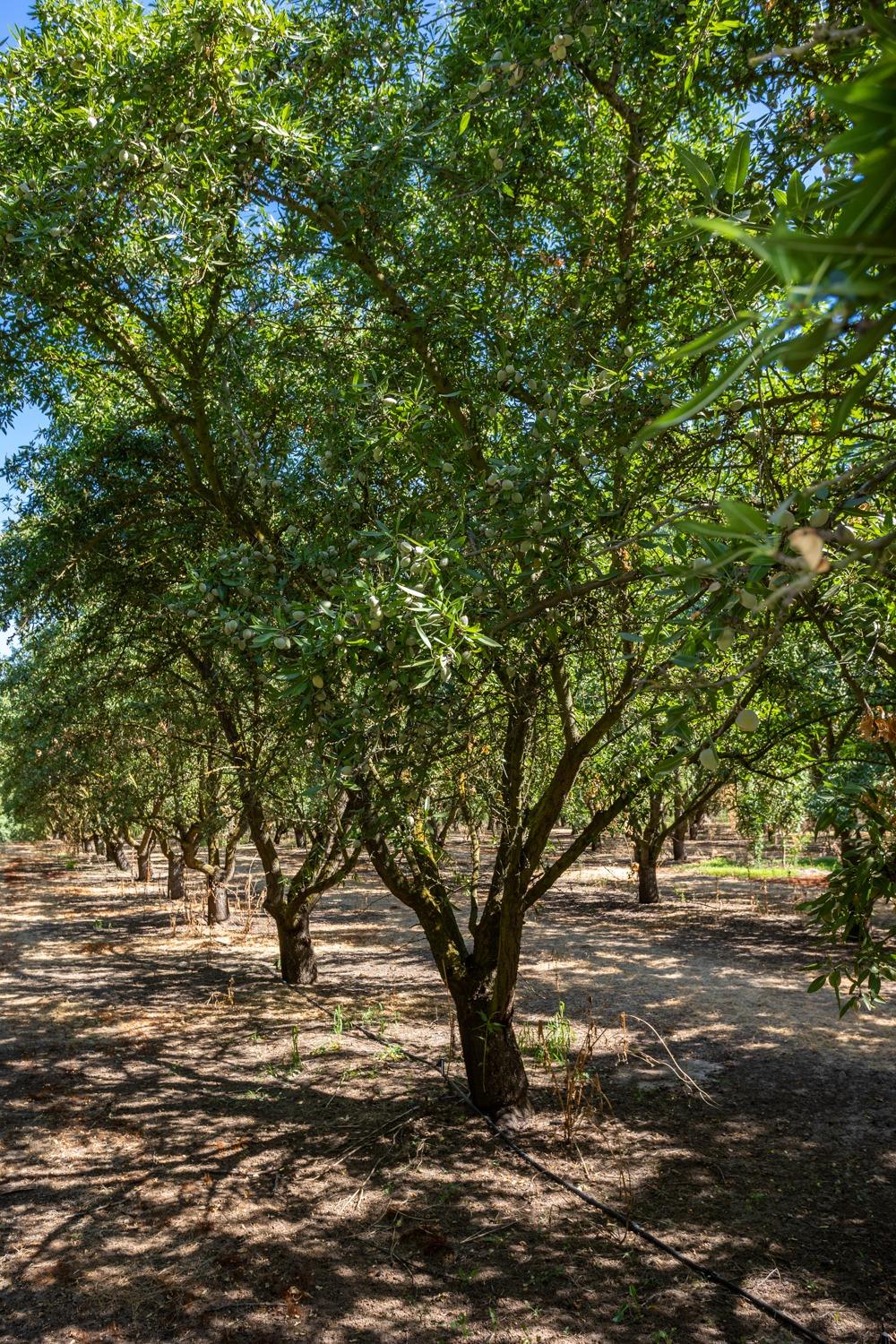 9337 Creekside Lane Modesto, CA 95357 - Photo 26 of 38