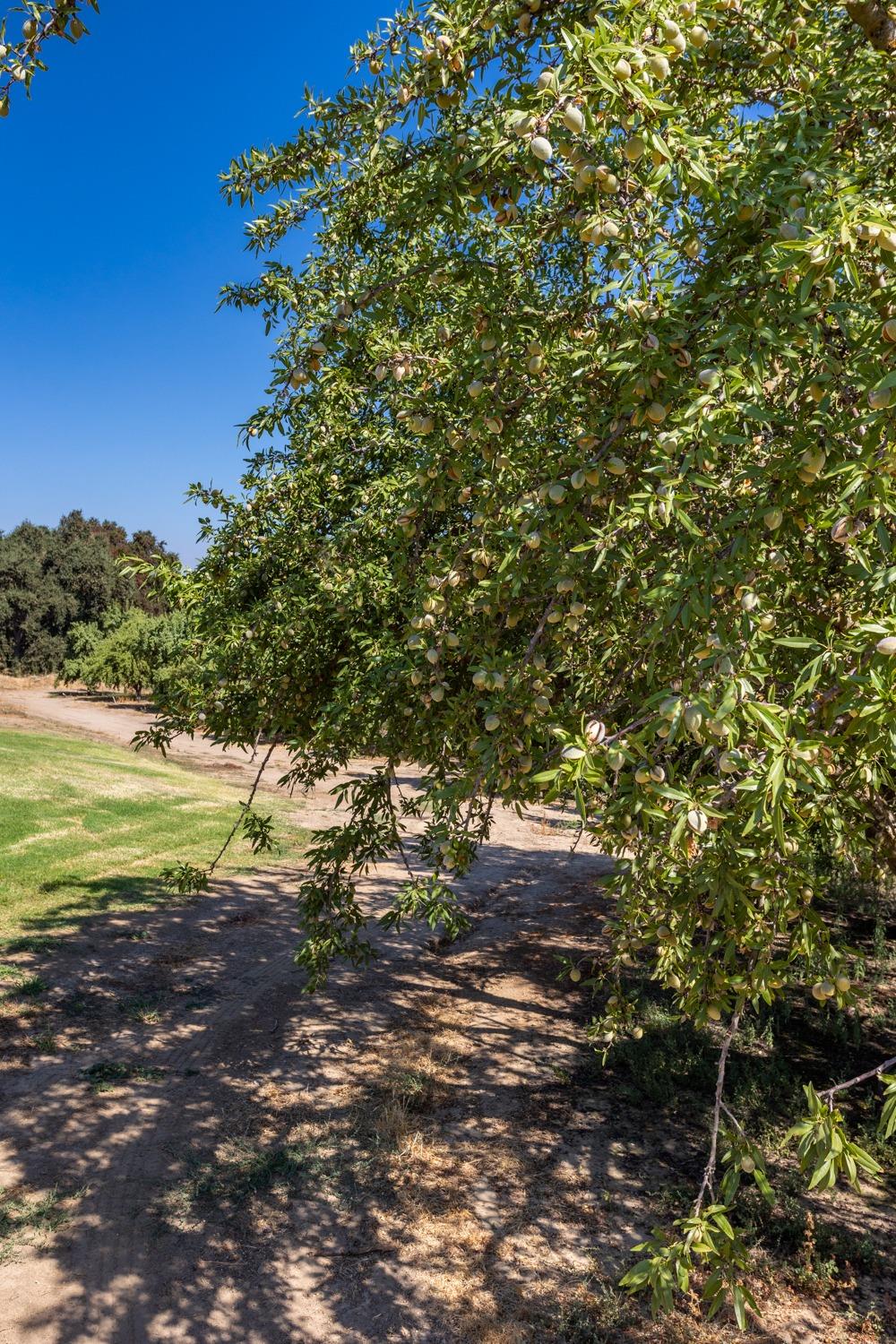 9337 Creekside Lane Modesto, CA 95357 - Photo 27 of 38
