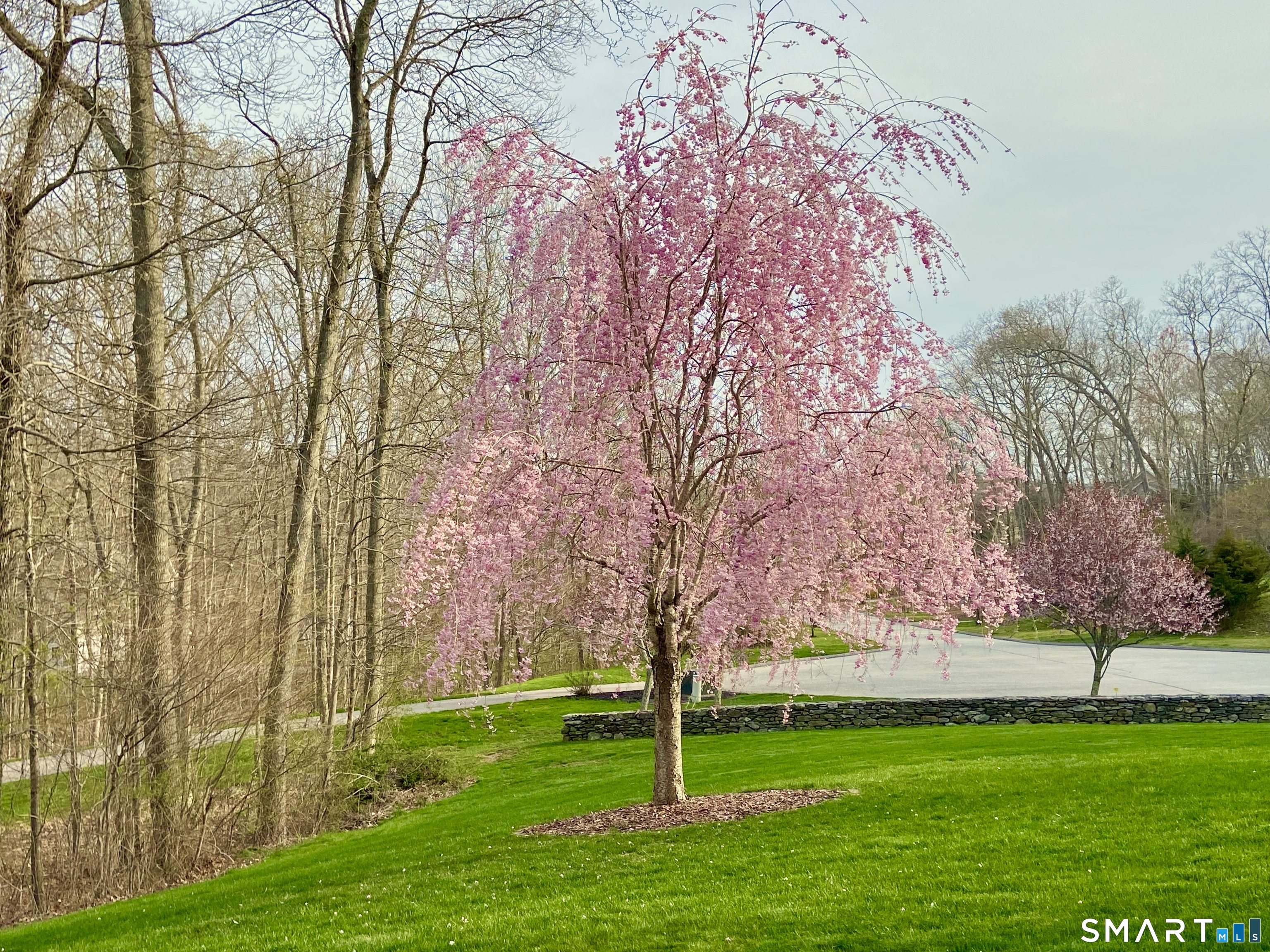 15 Mains Way Preston, CT 06365 - Photo 33 of 40 a backyard of a house with lots of green space