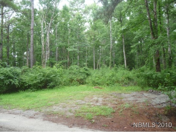 1025 Fork Point Road Oriental, NC 28571 - Photo 1 of 1 Primary Photo