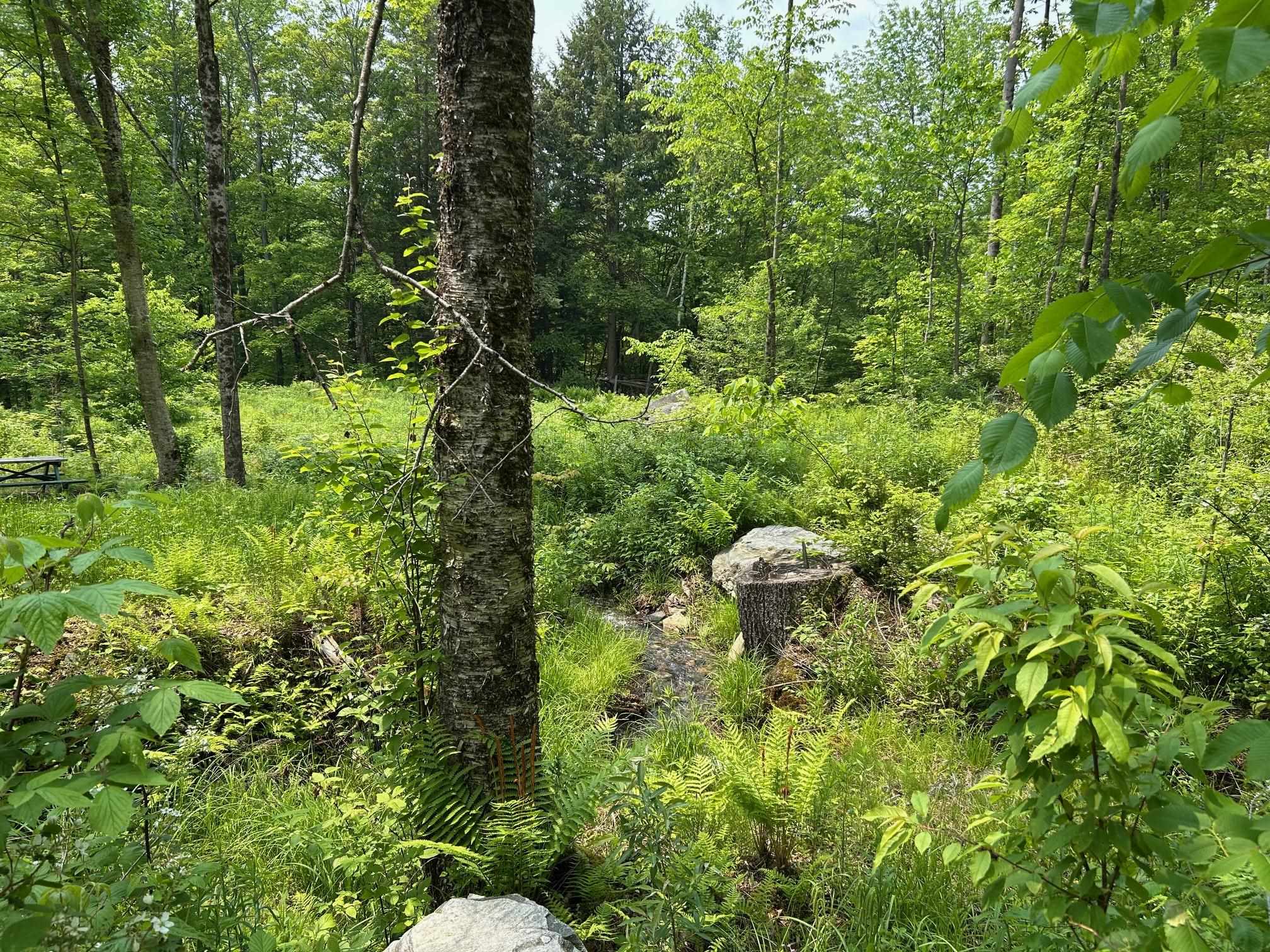 320 West Rowe Hill Road West Windsor, VT 05037 - Photo 16 of 20