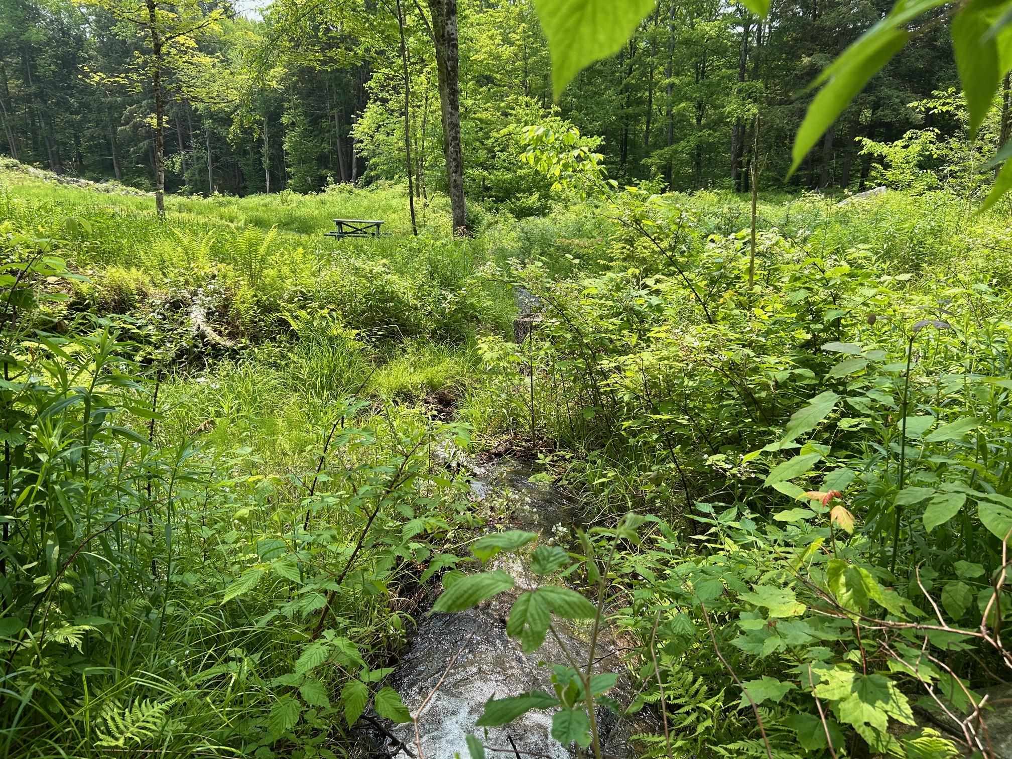 320 West Rowe Hill Road West Windsor, VT 05037 - Photo 17 of 20