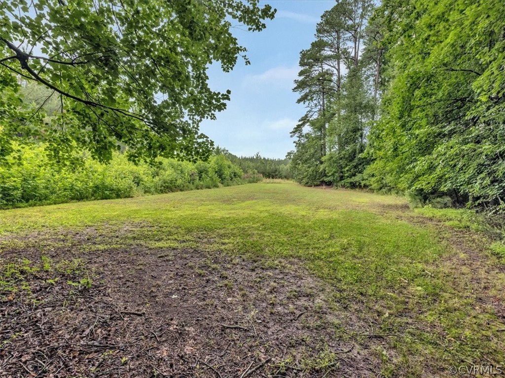 2707 Jennings Ordinary Road Burkeville, VA 23922 - Photo 35 of 49 Gallery Image 35