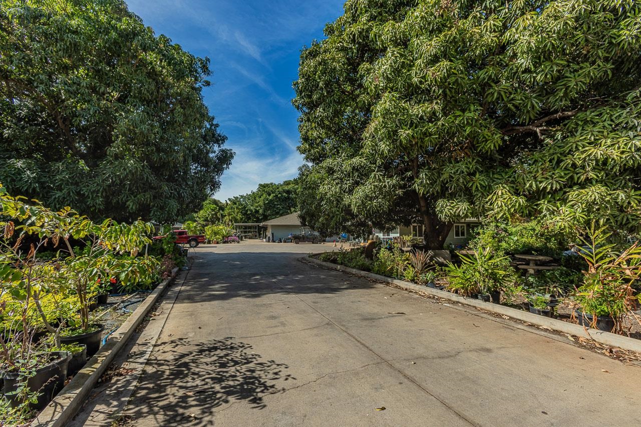 1746 South Kihei Road Kihei, HI 96753 - Photo 11 of 35 a view of a yard with potted plants