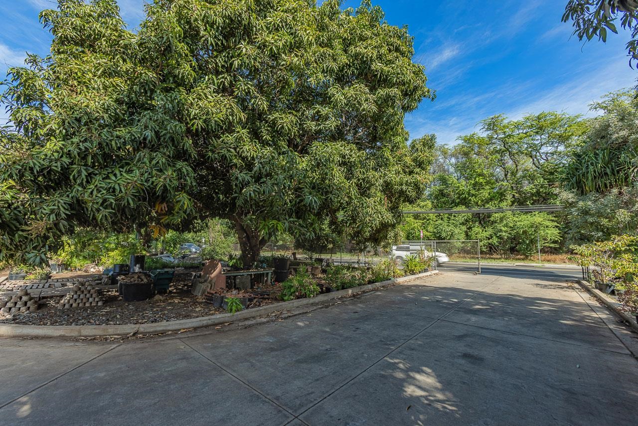 1746 South Kihei Road Kihei, HI 96753 - Photo 10 of 35 a view of a yard with plants and trees