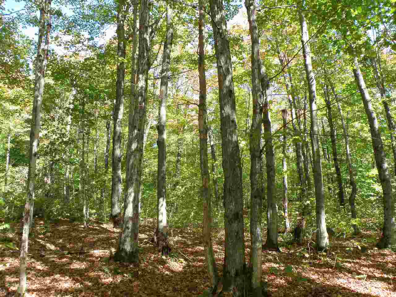 0 Hazens Notch Road Lowell, VT 05847 - Photo 2 of 10