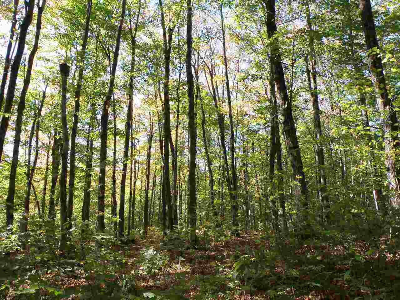 0 Hazens Notch Road Lowell, VT 05847 - Photo 6 of 10