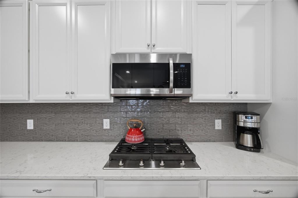 725 Winterside Drive Apollo Beach, FL 33572 - Photo 17 of 59