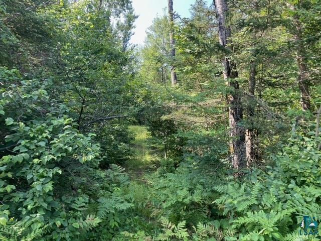 8210 East Leusman Road Solon Springs, WI 54873 - Photo 3 of 5 View of local wilderness