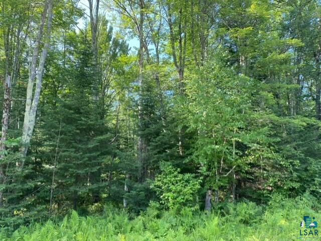 8210 East Leusman Road Solon Springs, WI 54873 - Photo 4 of 5 View of local wilderness