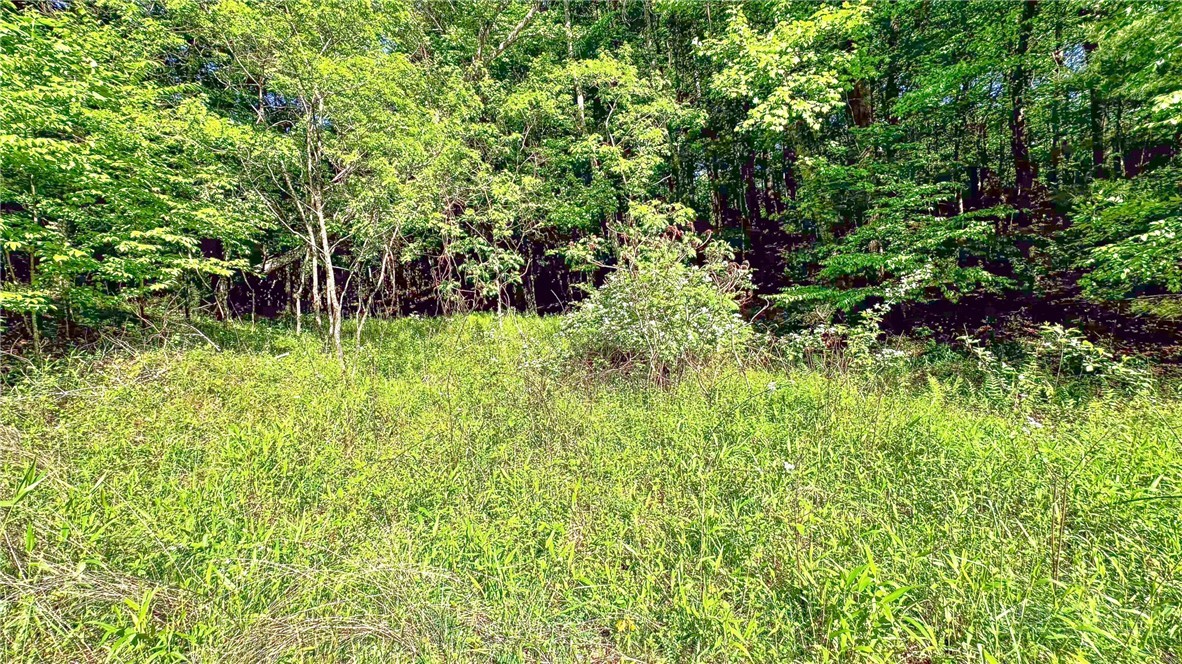 Tbd-13 Peck Peak Road Jefferson, NC 28640 - Photo 13 of 14