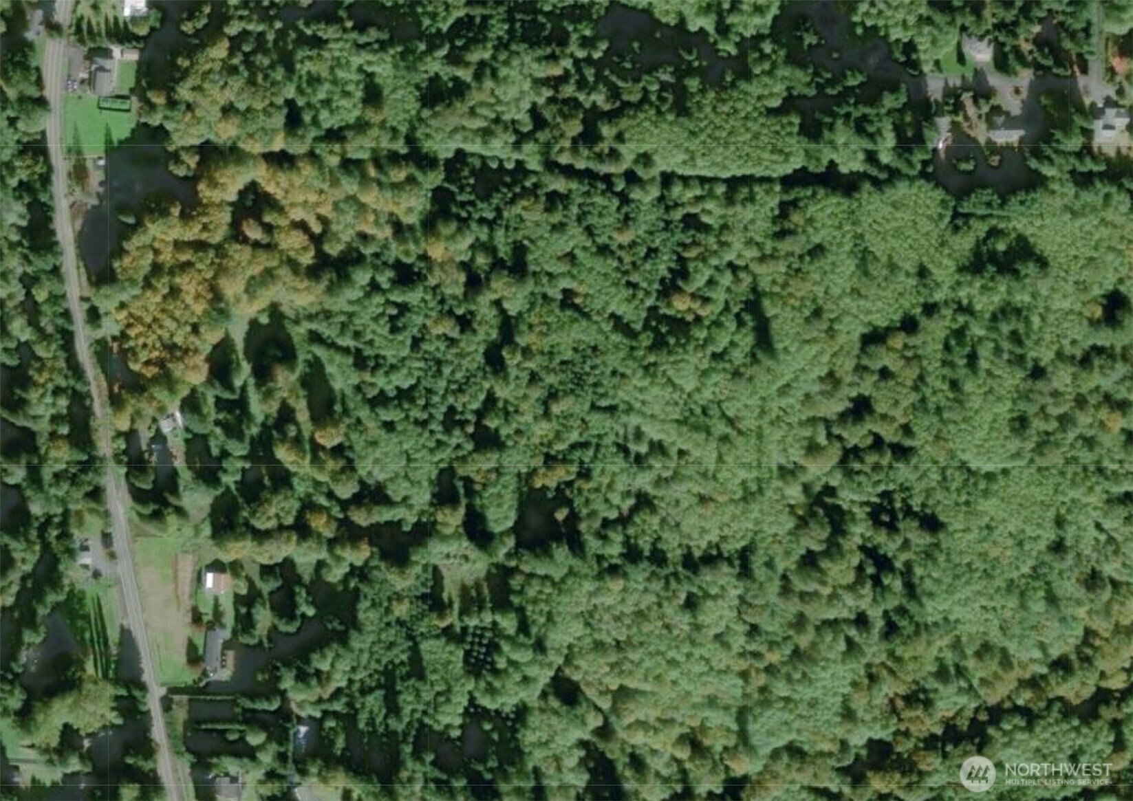 a view of a lush green forest with a houses