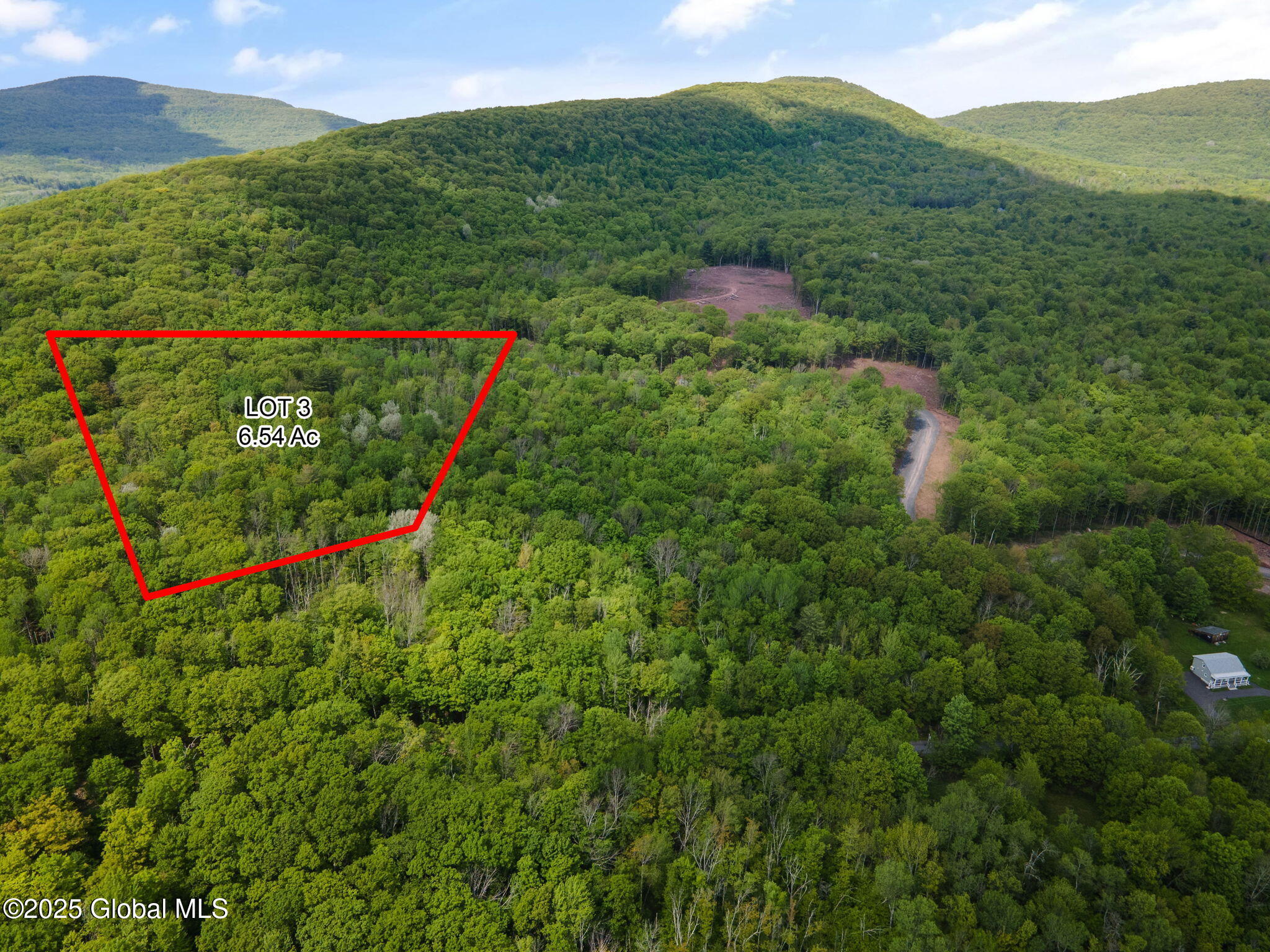 10 Galway Road Windham, NY 12496 - Photo 6 of 13 6-web-or-mls-125-galway-road-windham-ny-