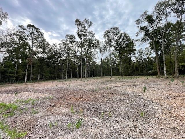 39092 Keaghey Road Ponchatoula, LA 70454 - Photo 3 of 6