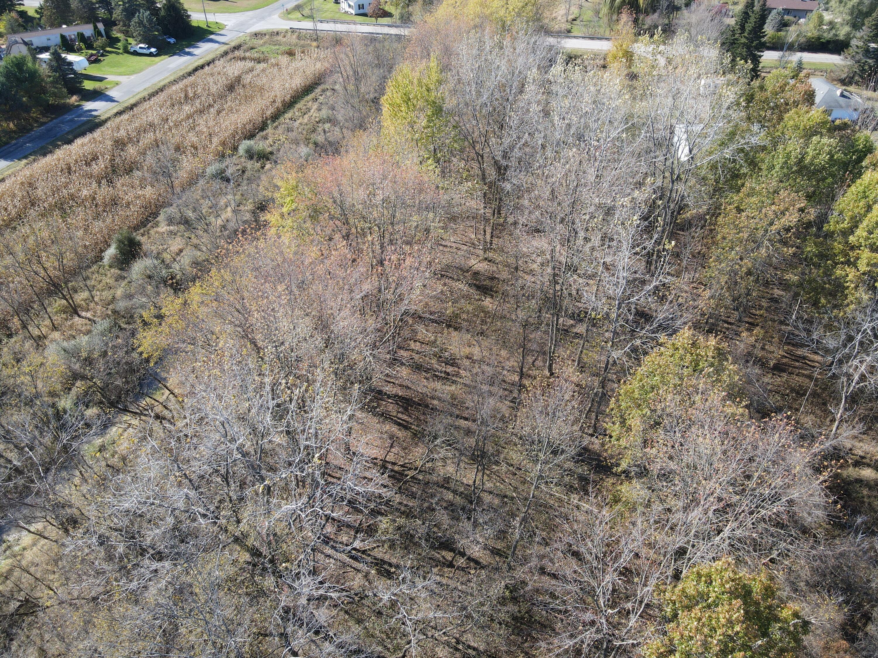 16753 South Fenmore Road Bannister, MI 48807 - Photo 16 of 59 DJI_0557