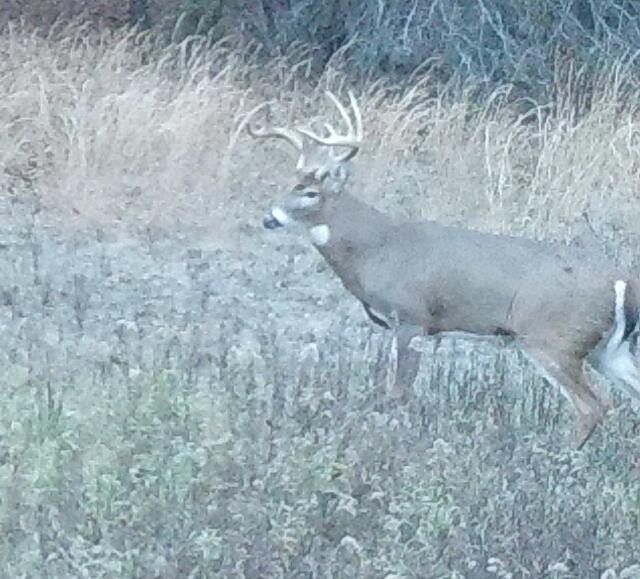 16753 South Fenmore Road Bannister, MI 48807 - Photo 17 of 59 IMG_0859