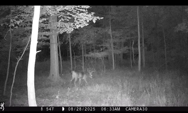 $1,250,000 | 16753 South Fenmore Road, Bannister, MI 48807