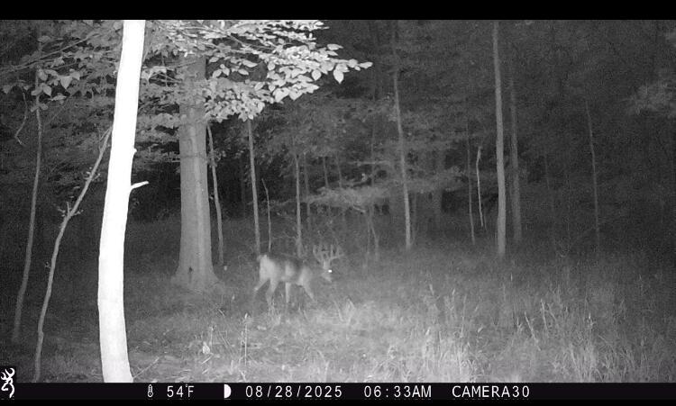 16753 South Fenmore Road Bannister, MI 48807 - Photo 18 of 59 IMG_1902