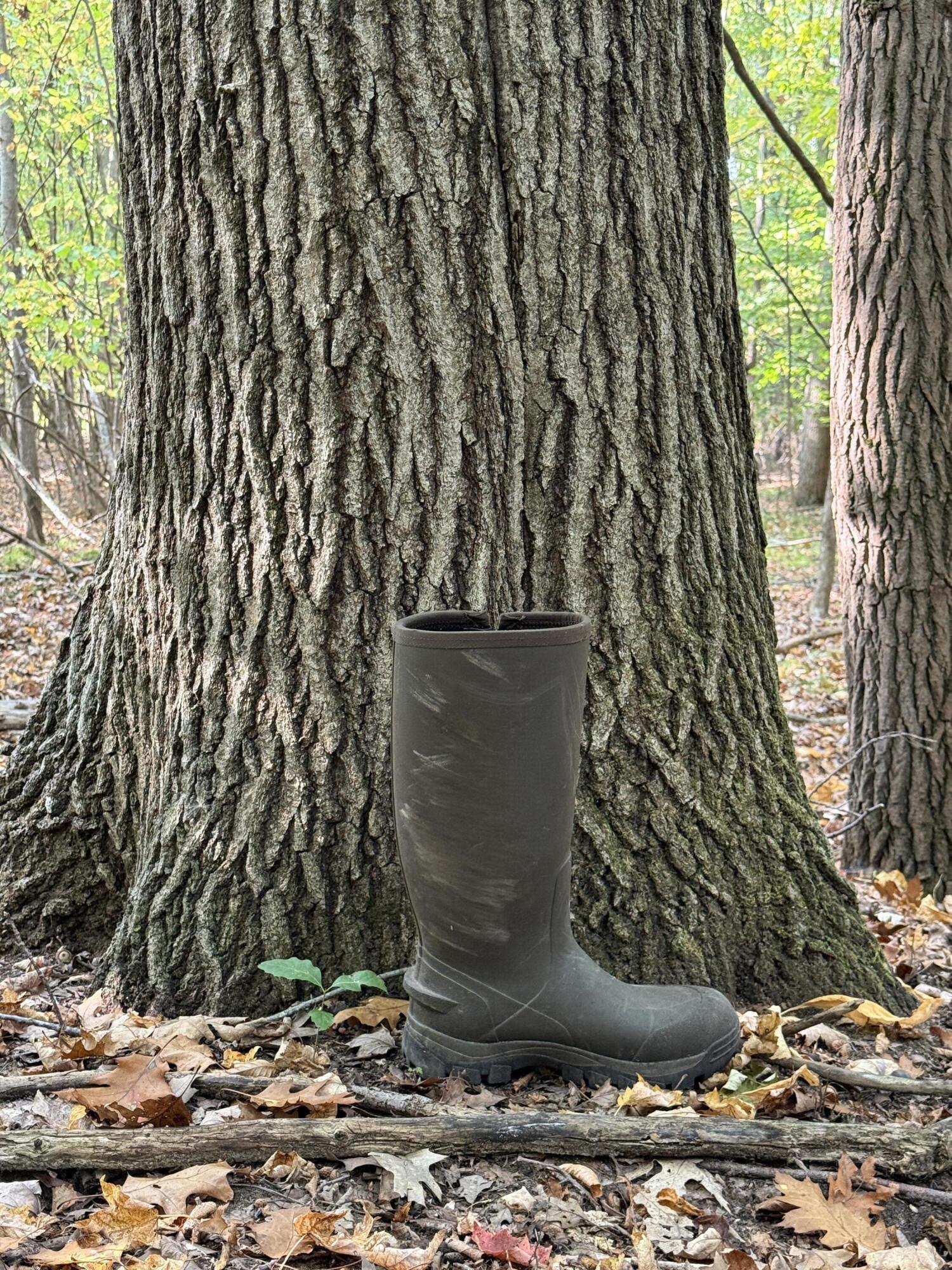 16753 South Fenmore Road Bannister, MI 48807 - Photo 21 of 59 IMG_3062