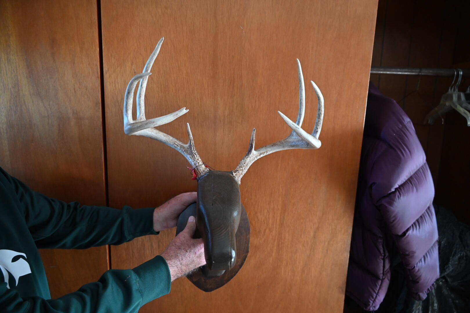 16753 South Fenmore Road Bannister, MI 48807 - Photo 23 of 59 michiganhuntinglandforsale