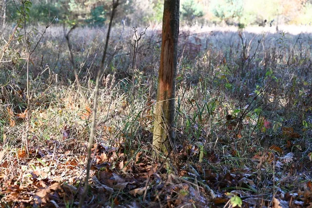 $1,250,000 | 16753 South Fenmore Road, Bannister, MI 48807