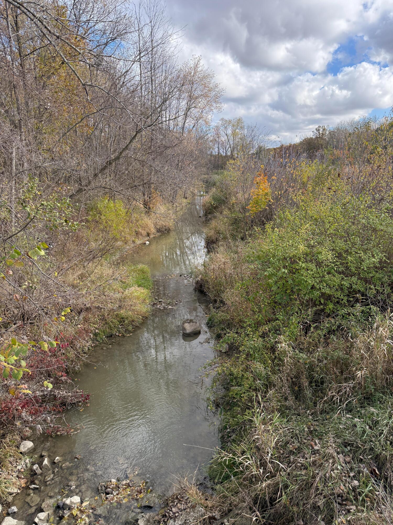16753 South Fenmore Road Bannister, MI 48807 - Photo 25 of 59 MichiganHuntingLandForSale2