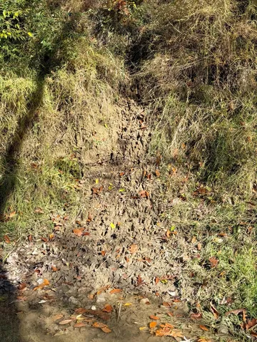 $1,250,000 | 16753 South Fenmore Road, Bannister, MI 48807