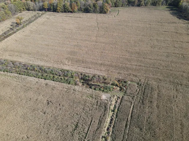 $1,250,000 | 16753 South Fenmore Road, Bannister, MI 48807