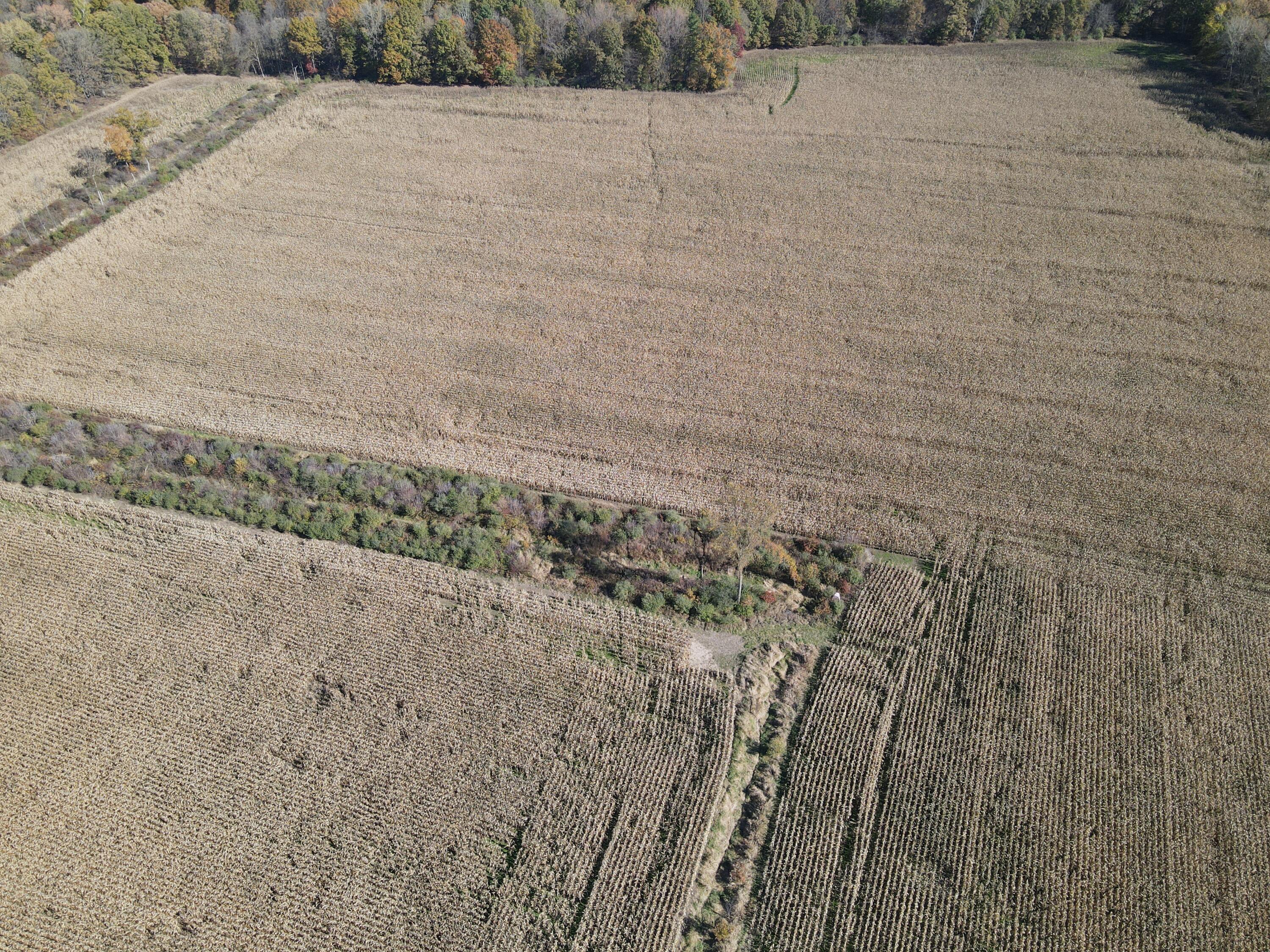 16753 South Fenmore Road Bannister, MI 48807 - Photo 8 of 59 DJI_0542