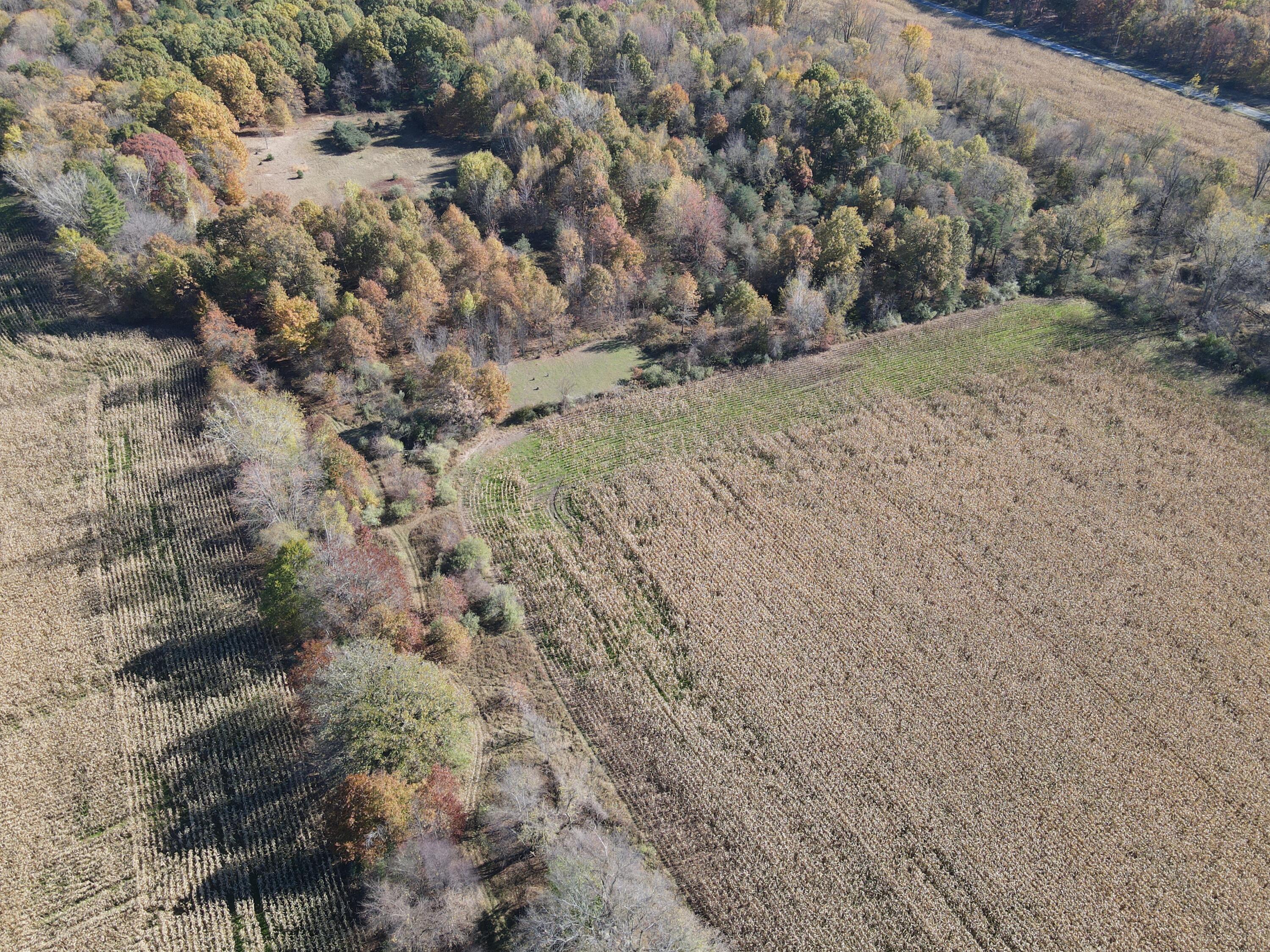 16753 South Fenmore Road Bannister, MI 48807 - Photo 9 of 59 DJI_0543