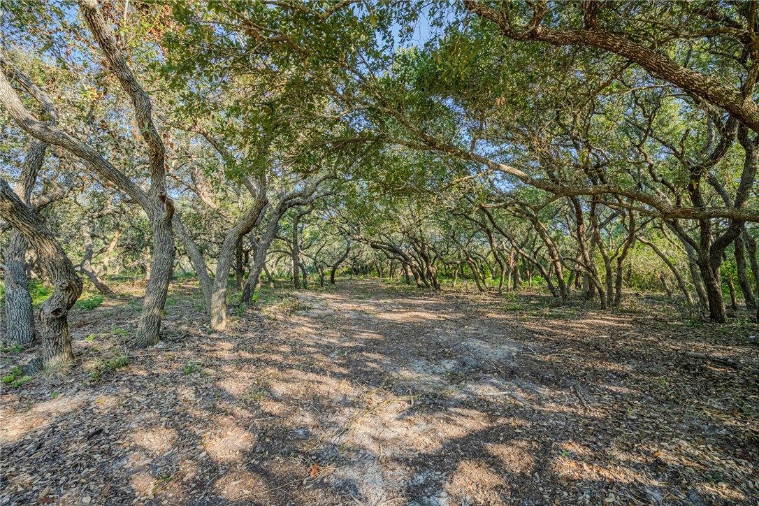 1501 Prairie Road Rockport, TX 78382 - Photo 17 of 17