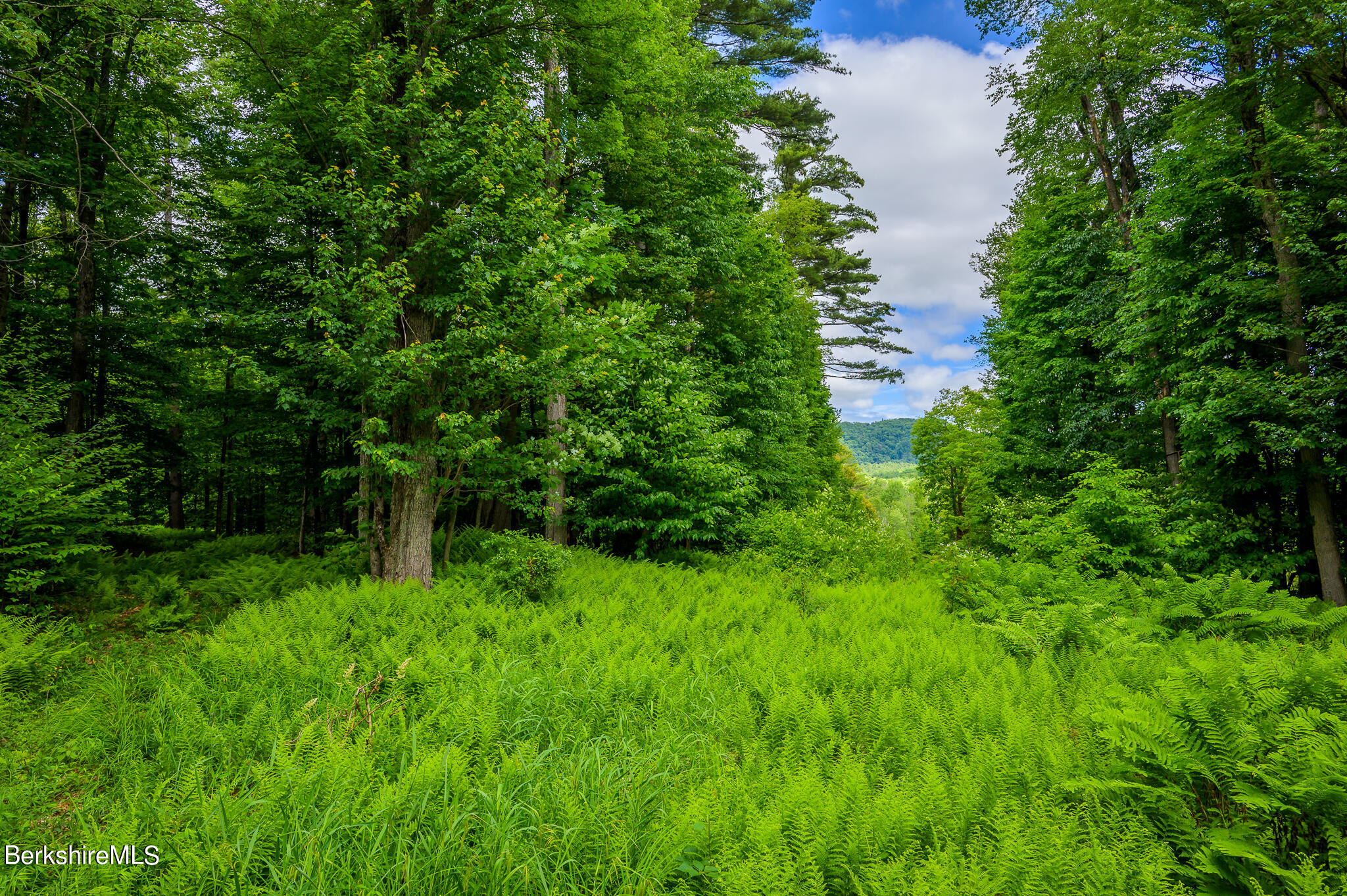 350 Old Cheshire Road Lanesborough, MA 01237 - Photo 16 of 23 350 Old Cheshire Grounds 2