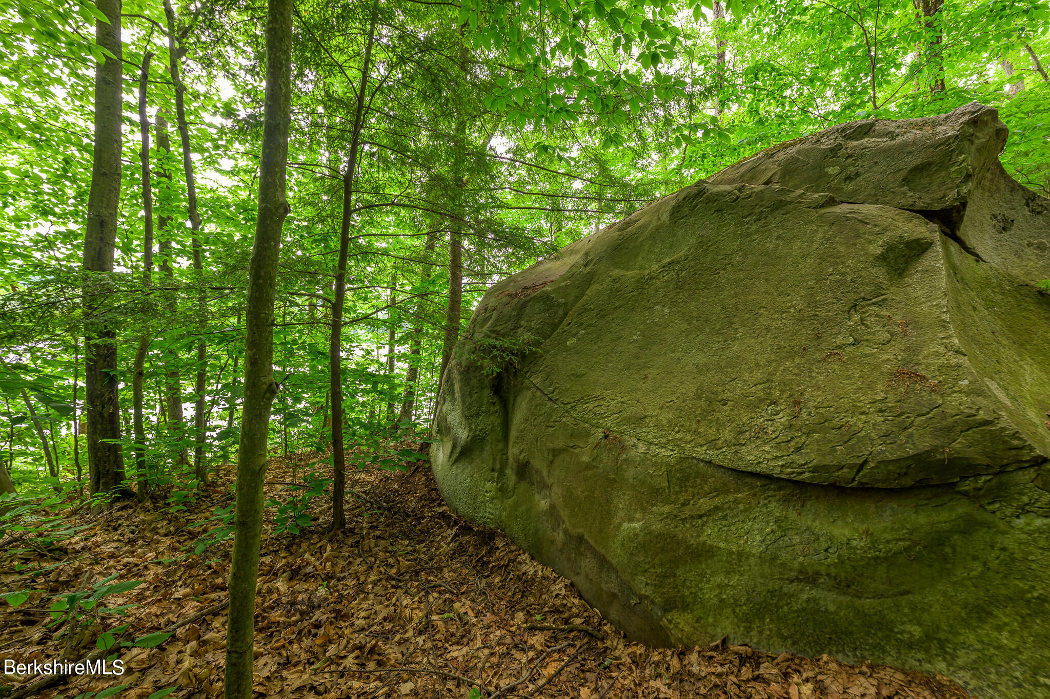 350 Old Cheshire Road Lanesborough, MA 01237 - Photo 18 of 23 350 Old Cheshire Rock