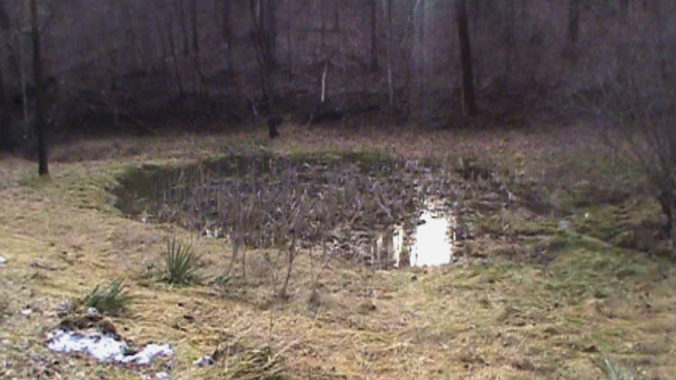 107 Blue Ridge Turnpike Fincastle, VA 24090 - Photo 8 of 8 Pond